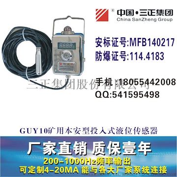 GUY10矿用本安型投入式液位传感器矿用水位传感器GUY5